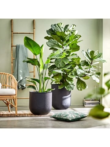 Coupon 🎉 Dekoration Butlers Blumentopf Höhe 50cm RAW In Schwarz Günstig Kaufen 🔥 4 Coupon 🎉 Dekoration Butlers Blumentopf Höhe 50cm RAW In Schwarz Günstig Kaufen 🔥 – Bild 2