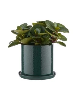 Bestpreis 👏 Dekoration Butlers Blumentopf Mit Teller Ø20cm PLANT PLACE In Dunkelblau Günstig Kaufen 😉 -BUTLERS Verkäufe butlers blumentopf mit teller o20cm plant place in dunkelblau 1