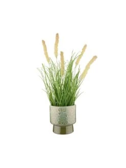 Neu 🔥 Dekoration Butlers Blumentopf Ø11cm GREENERY In Grün Günstig Kaufen 🛒 6 Neu 🔥 Dekoration Butlers Blumentopf Ø11cm GREENERY In Grün Günstig Kaufen 🛒 -BUTLERS Verkäufe butlers blumentopf o11cm greenery in grun 1