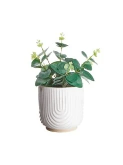 Neu 💯 Dekoration Butlers Blumentopf Ø12cm TURN In Creme Günstig Kaufen 👏 7 Neu 💯 Dekoration Butlers Blumentopf Ø12cm TURN In Creme Günstig Kaufen 👏 -BUTLERS Verkäufe butlers blumentopf o12cm turn in creme 1