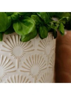 Bestpreis 😀 Dekoration Butlers Blumentopf Ø14cm BLOOMY In Creme Günstig Kaufen 🎁 13 Bestpreis 😀 Dekoration Butlers Blumentopf Ø14cm BLOOMY In Creme Günstig Kaufen 🎁 -BUTLERS Verkäufe butlers blumentopf o14cm bloomy in creme 5