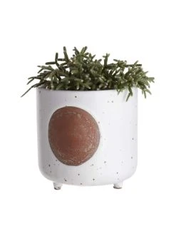 Auslauf 🥰 Dekoration Butlers Blumentopf Ø14cm DOT In Creme Günstig Kaufen 🔥 -BUTLERS Verkäufe butlers blumentopf o14cm dot in creme 1