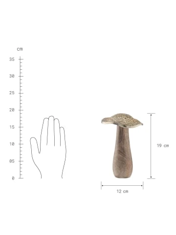 Top 10 ✨ Dekoration Butlers Deko-Pilz Höhe 19cm HARVEST SPLENDOR In Gold Günstig Kaufen ⌛ 5 Top 10 ✨ Dekoration Butlers Deko-Pilz Höhe 19cm HARVEST SPLENDOR In Gold Günstig Kaufen ⌛ – Bild 3