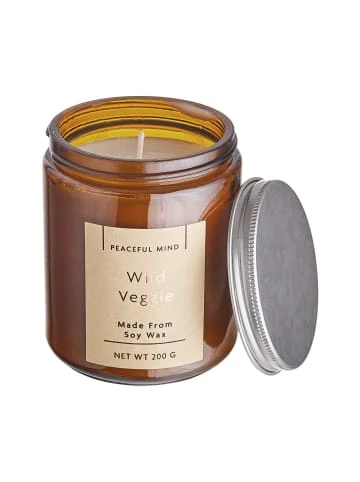 Brandneu 😍 Dekoration Butlers Duftkerze Wild Veggie Mit Sojawachs PEACEFUL MIND In Braun-Silber Günstig Kaufen ⭐ 4 Brandneu 😍 Dekoration Butlers Duftkerze Wild Veggie Mit Sojawachs PEACEFUL MIND In Braun-Silber Günstig Kaufen ⭐ – Bild 2