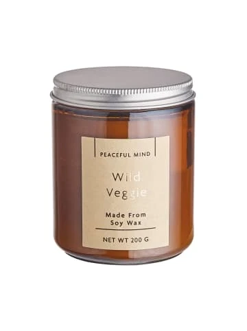 Brandneu 😍 Dekoration Butlers Duftkerze Wild Veggie Mit Sojawachs PEACEFUL MIND In Braun-Silber Günstig Kaufen ⭐ 3 Brandneu 😍 Dekoration Butlers Duftkerze Wild Veggie Mit Sojawachs PEACEFUL MIND In Braun-Silber Günstig Kaufen ⭐