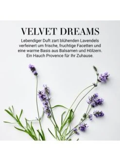 Bestes Angebot 😉 Dekoration Butlers Duftöl Velvet Dreams 10ml ESSENCE In Pastelllila Günstig Kaufen 🎁 -BUTLERS Verkäufe butlers duftol velvet dreams 10ml essence in pastelllila 1