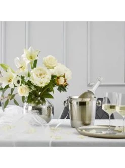 Top 10 ⌛ Haushalt Butlers Flaschenkühler CHAMPAGNE In Silber Günstig Kaufen 👍 -BUTLERS Verkäufe butlers flaschenkuhler champagne in silber 1