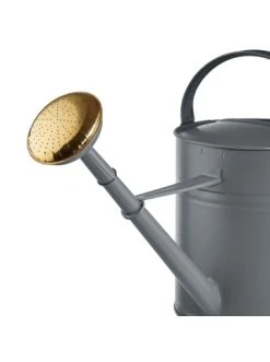 Am billigsten 🎉 Garten & Balkon Butlers Gießkanne 8l ZINC In Grau Günstig Kaufen 😍 -BUTLERS Verkäufe butlers giesskanne 8l zinc in grau 3