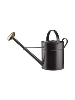 Schlussverkauf ⌛ Garten & Balkon Butlers Gießkanne 8l ZINC In Schwarz Günstig Kaufen 🤩