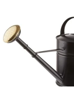 Schlussverkauf ⌛ Garten & Balkon Butlers Gießkanne 8l ZINC In Schwarz Günstig Kaufen 🤩 11 Schlussverkauf ⌛ Garten & Balkon Butlers Gießkanne 8l ZINC In Schwarz Günstig Kaufen 🤩 -BUTLERS Verkäufe butlers giesskanne 8l zinc in schwarz 3
