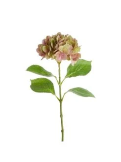 Blitzangebot 👏 Garten & Balkon Butlers Hortensie Länge 66cm FLORISTA In Pastellrot Günstig Kaufen 👏 6 Blitzangebot 👏 Garten & Balkon Butlers Hortensie Länge 66cm FLORISTA In Pastellrot Günstig Kaufen 👏 -BUTLERS Verkäufe butlers hortensie lange 66cm florista in pastellrot 1