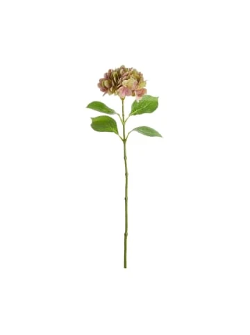 Blitzangebot 👏 Garten & Balkon Butlers Hortensie Länge 66cm FLORISTA In Pastellrot Günstig Kaufen 👏 3 Blitzangebot 👏 Garten & Balkon Butlers Hortensie Länge 66cm FLORISTA In Pastellrot Günstig Kaufen 👏