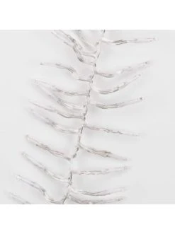 Brandneu 🤩 Weihnachten Butlers Lichterkette Cluster 288 Lichter BRIGHT LIGHTS In Transparent Günstig Kaufen 🛒 8 Brandneu 🤩 Weihnachten Butlers Lichterkette Cluster 288 Lichter BRIGHT LIGHTS In Transparent Günstig Kaufen 🛒 -BUTLERS Verkäufe butlers lichterkette cluster 288 lichter bright lights in transparent 2