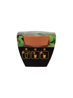 Bester Verkauf 👍 Dekoration Butlers Mini-Topf Glücksklee LUCKY LOOK In Grün Günstig Kaufen ⭐ -BUTLERS Verkäufe butlers mini topf glucksklee lucky look in grun 2