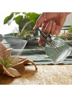 Budget 🥰 Garten & Balkon Butlers Pflanzensprüher 200ml BOTANIC In Grün-Anthrazit Günstig Kaufen 🔔 -BUTLERS Verkäufe butlers pflanzenspruher 200ml botanic in grun anthrazit 1