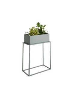 Bestpreis 🛒 Garten & Balkon Butlers Pflanzkasten Mit Gestell B 45 X T 21cm PLANTA In Salbei Günstig Kaufen 🔔 -BUTLERS Verkäufe butlers pflanzkasten mit gestell b 45 x t 21cm planta in salbei 2
