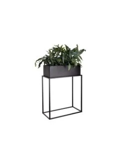 Am billigsten 🔥 Garten & Balkon Butlers Pflanzkasten Mit Gestell B 45 X T 21cm PLANTA In Schwarz Günstig Kaufen 🌟 -BUTLERS Verkäufe butlers pflanzkasten mit gestell b 45 x t 21cm planta in schwarz 2