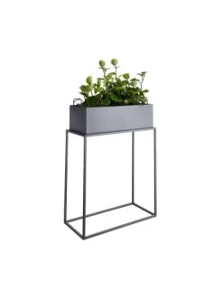 Budget 🌟 Garten & Balkon Butlers Pflanzkasten Mit Gestell B 55 X T 25cm PLANTA In Grau Günstig Kaufen ✔️ -BUTLERS Verkäufe butlers pflanzkasten mit gestell b 55 x t 25cm planta in grau 2