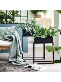 Auslauf 🧨 Garten & Balkon Butlers Pflanzkasten Mit Gestell B 55 X T 25cm PLANTA In Schwarz Günstig Kaufen 💯 -BUTLERS Verkäufe butlers pflanzkasten mit gestell b 55 x t 25cm planta in schwarz 1