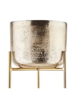 Rabatt 🤩 Dekoration Butlers Pflanztopf Mit Ständer Höhe 62cm BANQUET In Gold Günstig Kaufen 😉 11 Rabatt 🤩 Dekoration Butlers Pflanztopf Mit Ständer Höhe 62cm BANQUET In Gold Günstig Kaufen 😉 -BUTLERS Verkäufe butlers pflanztopf mit stander hohe 62cm banquet in gold 4