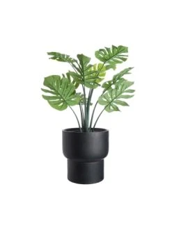 Bestes Angebot 👏 Dekoration Butlers Pflanztopf Ø39cm LOFT In Schwarz Günstig Kaufen 🌟 8 Bestes Angebot 👏 Dekoration Butlers Pflanztopf Ø39cm LOFT In Schwarz Günstig Kaufen 🌟 -BUTLERS Verkäufe butlers pflanztopf o39cm loft in schwarz 2