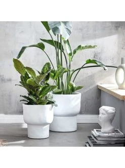 Blitzangebot 🔥 Dekoration Butlers Pflanztopf Ø39cm LOFT In Weiß Günstig Kaufen 🥰 -BUTLERS Verkäufe butlers pflanztopf o39cm loft in weiss 1