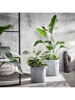 Günstiges butlers Geschäft -BUTLERS Verkäufe butlers pflanztopf outdoor hohe 33cm concrete in grau 1