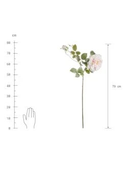 Schlussverkauf ⌛ Dekoration Butlers Rose Höhe 79cm FLORISTA In Hellrosa Günstig Kaufen 😀 -BUTLERS Verkäufe butlers rose hohe 79cm florista in hellrosa 2