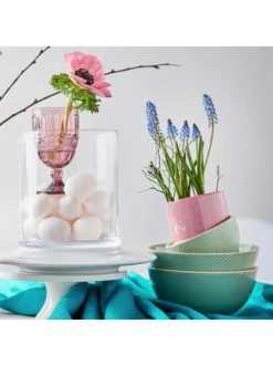 Coupon ⭐ Küche Butlers Schale Punkte 1200ml Mint HANAMI In Mint Günstig Kaufen 🎁 -BUTLERS Verkäufe butlers schale punkte 1200ml mint hanami in mint 1