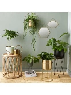 Blitzangebot 🔥 Dekoration Butlers Spiegel Augenform L 27 X B 17cm CARAT In Gold Günstig Kaufen ✔️ 11 Blitzangebot 🔥 Dekoration Butlers Spiegel Augenform L 27 X B 17cm CARAT In Gold Günstig Kaufen ✔️ -BUTLERS Verkäufe butlers spiegel augenform l 27 x b 17cm carat in gold 3