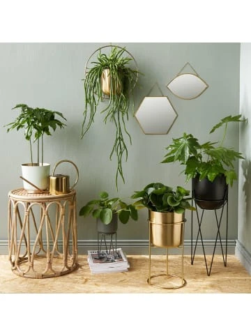 Blitzangebot 🔥 Dekoration Butlers Spiegel Augenform L 27 X B 17cm CARAT In Gold Günstig Kaufen ✔️ 7 Blitzangebot 🔥 Dekoration Butlers Spiegel Augenform L 27 X B 17cm CARAT In Gold Günstig Kaufen ✔️ – Bild 5