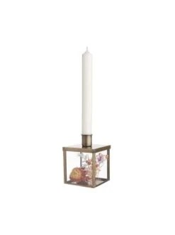 Bestes Angebot 👍 Dekoration Butlers Stabkerzenhalter Mit Box Höhe 8cm SHOWROOM In Gold Günstig Kaufen 🌟 14 Bestes Angebot 👍 Dekoration Butlers Stabkerzenhalter Mit Box Höhe 8cm SHOWROOM In Gold Günstig Kaufen 🌟 -BUTLERS Verkäufe butlers stabkerzenhalter mit box hohe 8cm showroom in gold 3