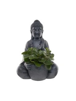 Coupon ✔️ Dekoration Butlers Statue Mit Blumentopf Höhe 69cm BUDDHA In Dunkelgrau Günstig Kaufen ⭐ 11 Coupon ✔️ Dekoration Butlers Statue Mit Blumentopf Höhe 69cm BUDDHA In Dunkelgrau Günstig Kaufen ⭐ -BUTLERS Verkäufe butlers statue mit blumentopf hohe 69cm buddha in dunkelgrau 2