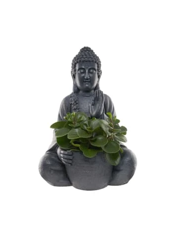 Coupon ✔️ Dekoration Butlers Statue Mit Blumentopf Höhe 69cm BUDDHA In Dunkelgrau Günstig Kaufen ⭐ 5 Coupon ✔️ Dekoration Butlers Statue Mit Blumentopf Höhe 69cm BUDDHA In Dunkelgrau Günstig Kaufen ⭐ – Bild 3