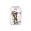 Schlussverkauf 😉 Dekoration Butlers Teelichthalter Mit Individuellen Trockenblumen Höhe 12cm FLOWER MARKET In Transparent Günstig Kaufen 🛒 2 Schlussverkauf 😉 Dekoration Butlers Teelichthalter Mit Individuellen Trockenblumen Höhe 12cm FLOWER MARKET In Transparent Günstig Kaufen 🛒 -BUTLERS Verkäufe butlers teelichthalter mit individuellen trockenblumen hohe 12cm flower market in transparent