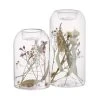Top 10 ❤️ Dekoration Butlers Teelichthalter-Set 2-tlg. Mit Individuellen Trockenblumen FLOWER MARKET In Transparent Günstig Kaufen 🛒