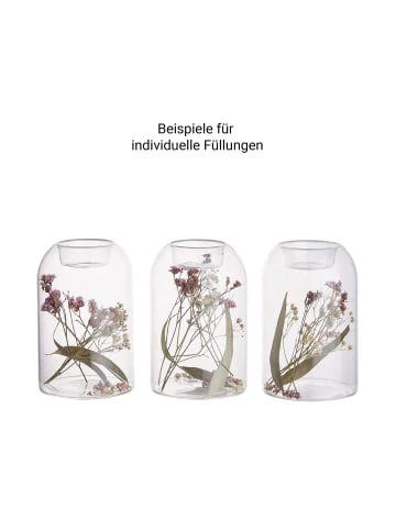 Top 10 ❤️ Dekoration Butlers Teelichthalter-Set 2-tlg. Mit Individuellen Trockenblumen FLOWER MARKET In Transparent Günstig Kaufen 🛒 8 Top 10 ❤️ Dekoration Butlers Teelichthalter-Set 2-tlg. Mit Individuellen Trockenblumen FLOWER MARKET In Transparent Günstig Kaufen 🛒 – Bild 6