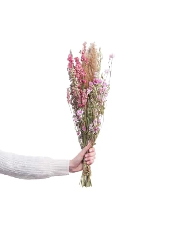 Schlussverkauf 😍 Dekoration Butlers Trockenblumen Blumenstrauß FLOWER MARKET In Bunt Günstig Kaufen ✔️ 3 Schlussverkauf 😍 Dekoration Butlers Trockenblumen Blumenstrauß FLOWER MARKET In Bunt Günstig Kaufen ✔️