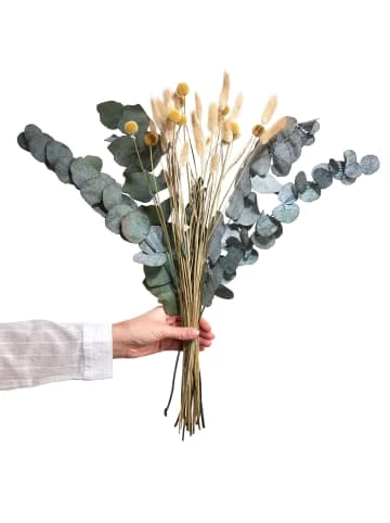Budget 🔥 Dekoration Butlers Trockenblumen Blumenstrauß FLOWER MARKET In Grün Günstig Kaufen 💯 3 Budget 🔥 Dekoration Butlers Trockenblumen Blumenstrauß FLOWER MARKET In Grün Günstig Kaufen 💯