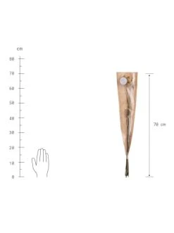 Schlussverkauf 😉 Dekoration Butlers Trockenblumen Craspedia Länge 70cm FLOWER MARKET In Gelb Günstig Kaufen 👍 -BUTLERS Verkäufe butlers trockenblumen craspedia lange 70cm flower market in gelb 2