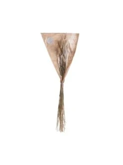 Blitzangebot 😍 Dekoration Butlers Trockenblumen Lagurusgras Länge 70cm FLOWER MARKET In Natur Günstig Kaufen ✨ -BUTLERS Verkäufe butlers trockenblumen lagurusgras lange 70cm flower market in natur 3