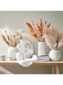 Beste Bewertungen von 🧨 Dekoration Butlers Trockenblumen Pampasgras Länge 70cm FLOWER MARKET In Natur Günstig Kaufen ⭐ -BUTLERS Verkäufe butlers trockenblumen pampasgras lange 70cm flower market in natur 1