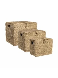 Brandneu 👍 Dekoration Butlers Truhe Rechteckig L 43 X B 28cm ERLA In Natur Günstig Kaufen 🎁 -BUTLERS Verkäufe butlers truhe rechteckig l 43 x b 28cm erla in natur 4