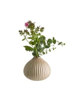 Budget 🎁 Dekoration Butlers Vase Höhe 12cm SANDY In Creme Günstig Kaufen 👍 8 Budget 🎁 Dekoration Butlers Vase Höhe 12cm SANDY In Creme Günstig Kaufen 👍 -BUTLERS Verkäufe butlers vase hohe 12cm sandy in creme 2