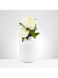 Brandneu 🔥 Dekoration Butlers Vase Höhe 20 Cm BELLE BLANC In Weiß Günstig Kaufen 🎁 -BUTLERS Verkäufe butlers vase hohe 20 cm belle blanc in weiss 2