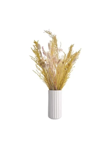 Brandneu 🎉 Dekoration Butlers Vase Höhe 21cm LIV In Weiß Günstig Kaufen 🎁 6 Brandneu 🎉 Dekoration Butlers Vase Höhe 21cm LIV In Weiß Günstig Kaufen 🎁 – Bild 4