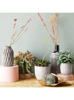 Coupon ✨ Dekoration Butlers Vase Höhe 21cm NORDIC SEA In Grau Günstig Kaufen ✔️ -BUTLERS Verkäufe butlers vase hohe 21cm nordic sea in grau 1