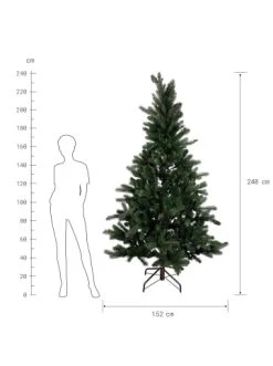 Bester Verkauf 👏 Weihnachten Butlers Weihnachtsbaum Höhe 240cm TREE OF THE MONTH In Grün Günstig Kaufen 🌟 -BUTLERS Verkäufe butlers weihnachtsbaum hohe 240cm tree of the month in grun 1