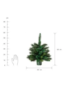 Großhandel 🥰 Weihnachten Butlers Weihnachtsbaum Höhe 60cm TREE OF THE MONTH In Grün Günstig Kaufen 👏 -BUTLERS Verkäufe butlers weihnachtsbaum hohe 60cm tree of the month in grun 1