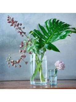 Top 10 ⌛ Dekoration Butlers Zylindrische Bodenvase 40 Cm POOL In Transparent Günstig Kaufen ✨ 6 Top 10 ⌛ Dekoration Butlers Zylindrische Bodenvase 40 Cm POOL In Transparent Günstig Kaufen ✨ -BUTLERS Verkäufe butlers zylindrische bodenvase 40 cm pool in transparent 1